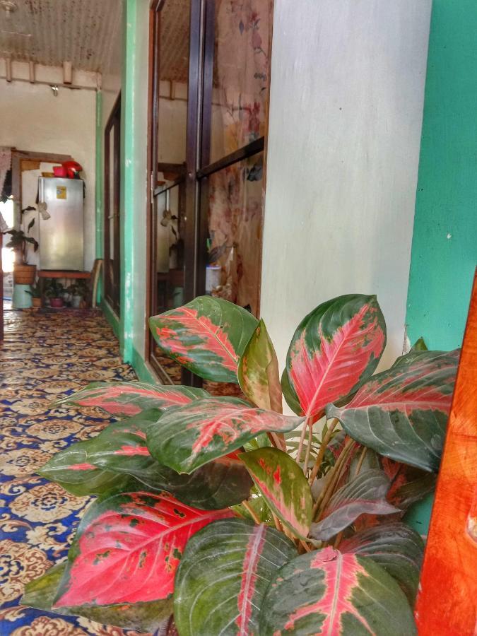 Abba Homestay General Luna  Buitenkant foto
